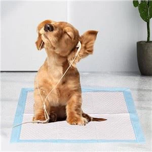 Супер абсорбираща биоразградима подложка за пикаене на кучета за обучение на домашни любимци Кученце 6 слоя Подложки за гърне за пикаене за еднократна употреба Подложка за гърне за домашни любимци